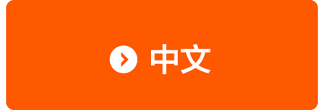 中文